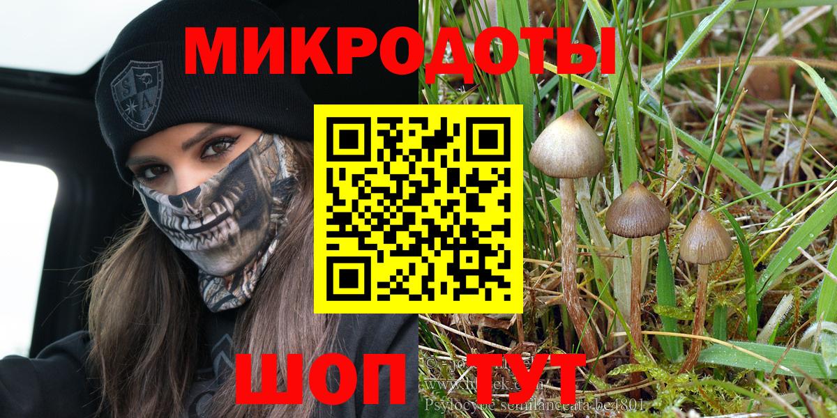 Фролово  Псилоцибиновые грибы Psilocybe  купить наркоту  Вход с VPN 